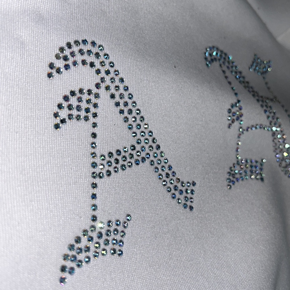 Rhinestone Jacket - Picture 5 of 5